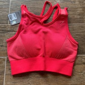 NWT Gymshark Neon Pink Ultra Seamless Sports Bra